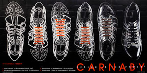 Одежда, обувь и аксессуары TJ Collection, Chester, Carnaby - это смелость, экстравагантность, яркость и стиль, разнообразный ассортимент, широкий ценовой диапазон. Метрореклама на путевых стенах станций.